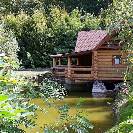 Rancho 555 Guest House Uzhhorod Ngoại thất bức ảnh