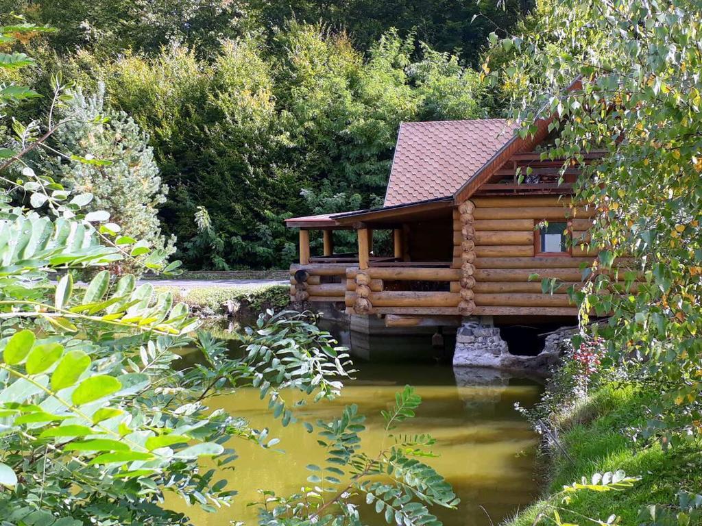 Rancho 555 Guest House Uzhhorod Ngoại thất bức ảnh