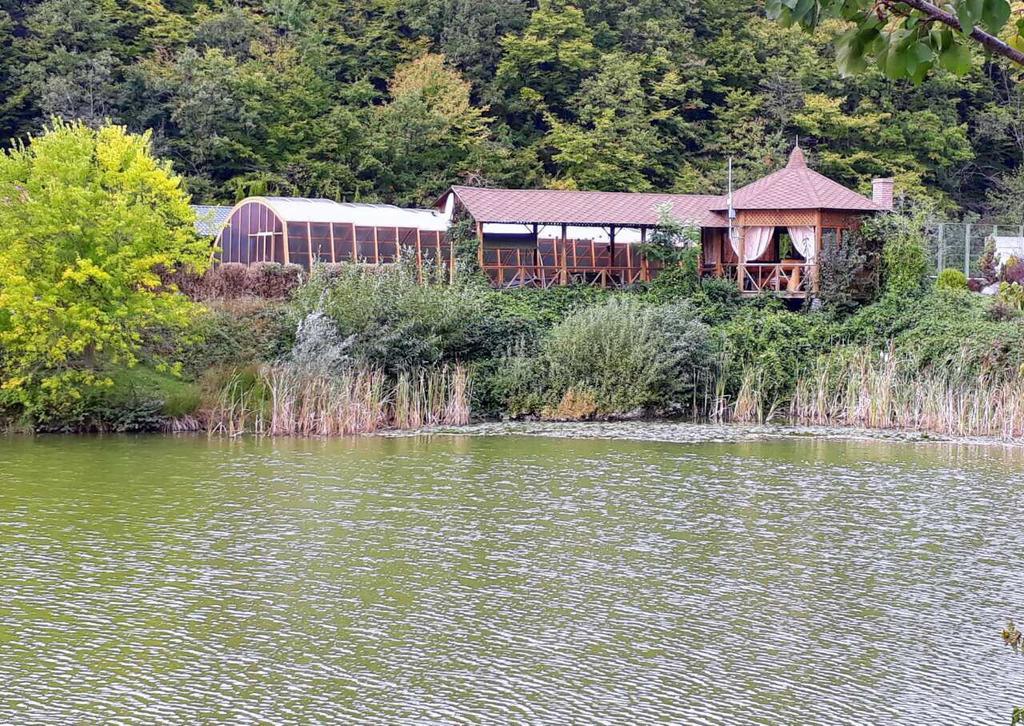 Rancho 555 Guest House Uzhhorod Ngoại thất bức ảnh