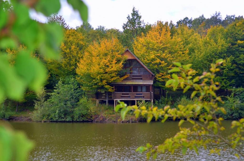 Rancho 555 Guest House Uzhhorod Ngoại thất bức ảnh